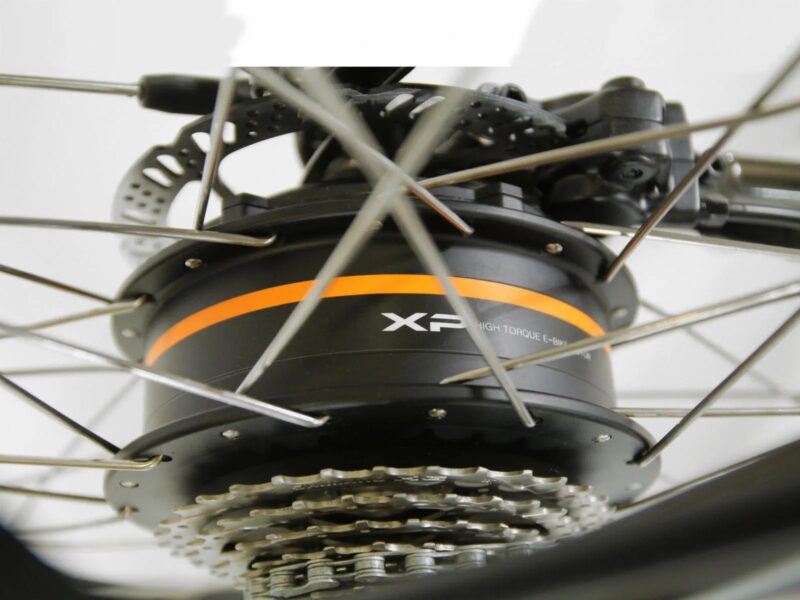 XP I-D9.1 - immagine 2